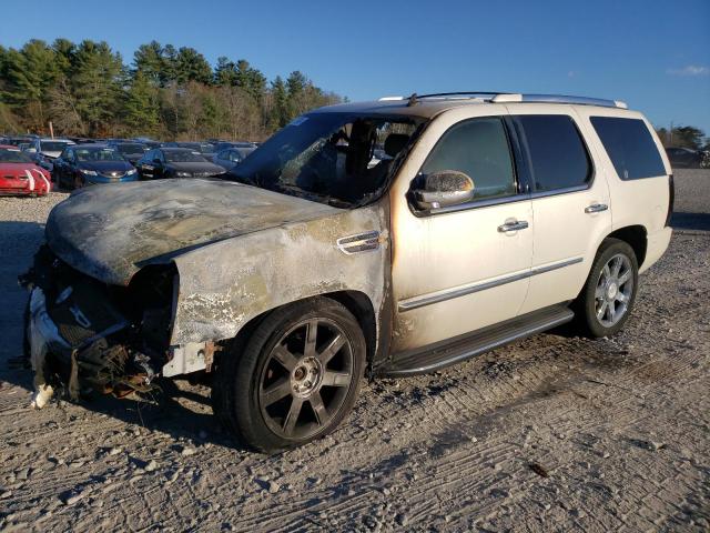 2007 Cadillac Escalade Luxury за продажба в Mendon, MA - Burn - Engine