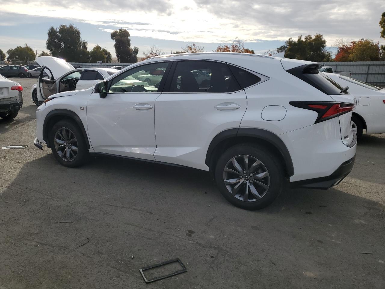 2019 Lexus NX - Image 2