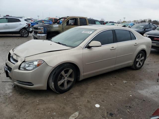 2011 Chevrolet Malibu 1Lt