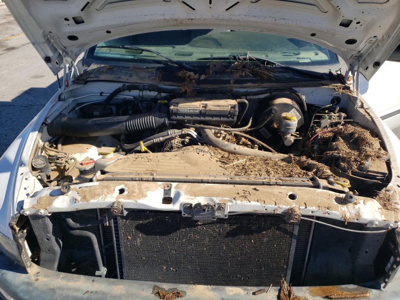 1999 Dodge RAM - Image 11