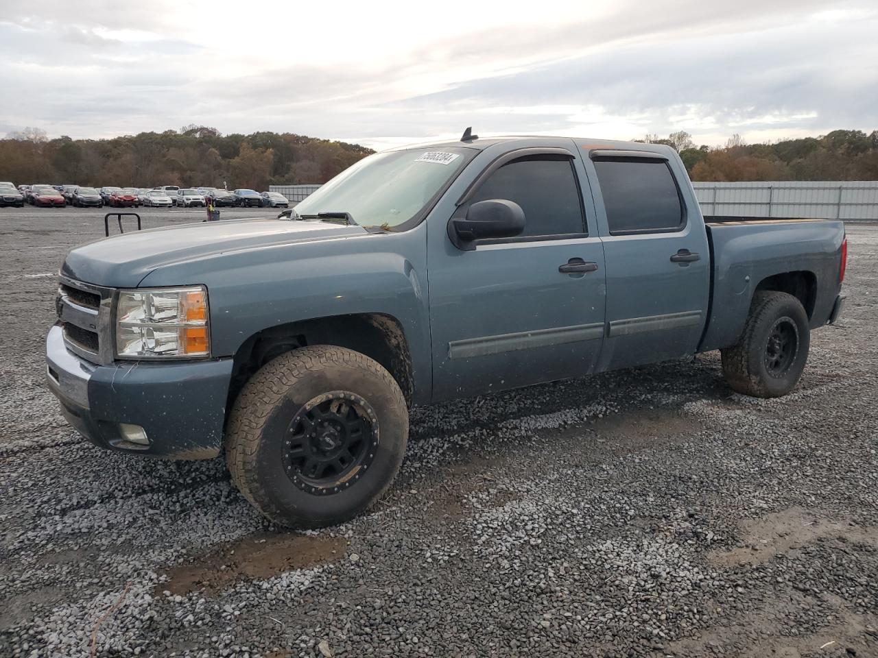 2009 Chevrolet Silverado C1500 VIN: 3GCEC13C59G177807 Lot: 75063284