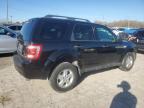 2012 Ford Escape Xlt за продажба в Indianapolis, IN - Front End