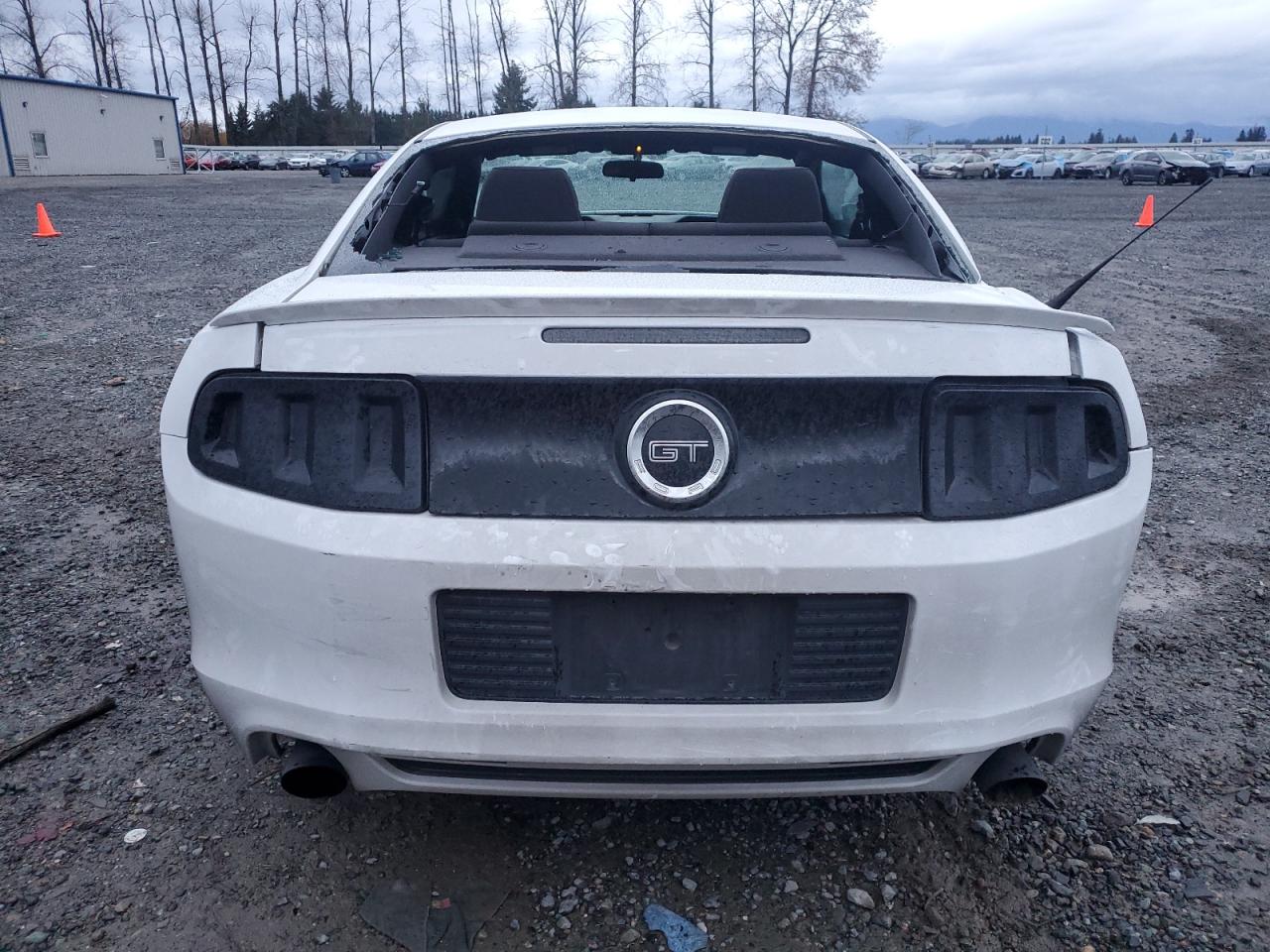 2014 Ford Mustang Gt VIN: 1ZVBP8CF6E5237568 Lot: 80705774