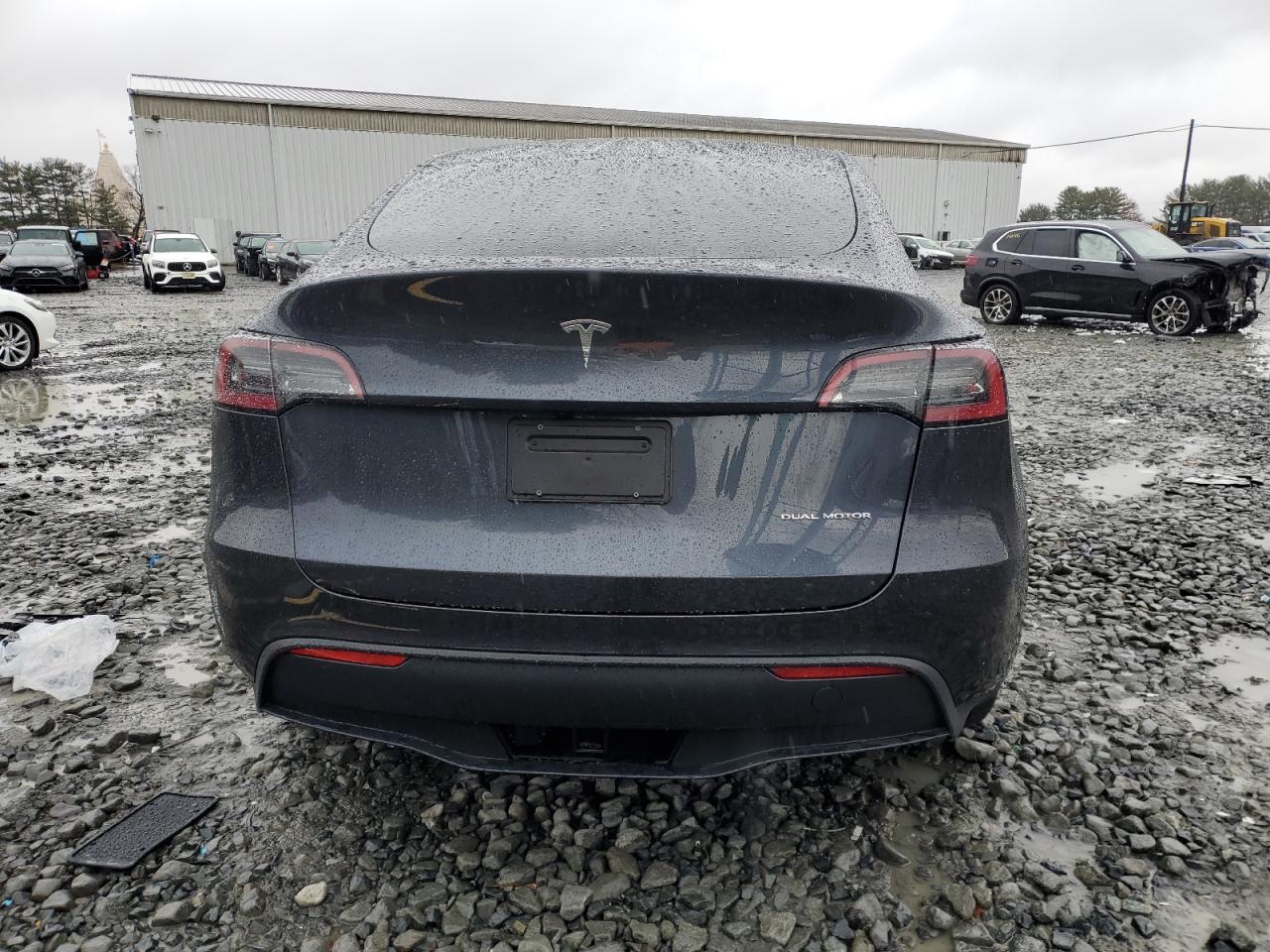 2024 Tesla Model Y VIN: 7SAYGDEE8RA249039 Lot: 81110704