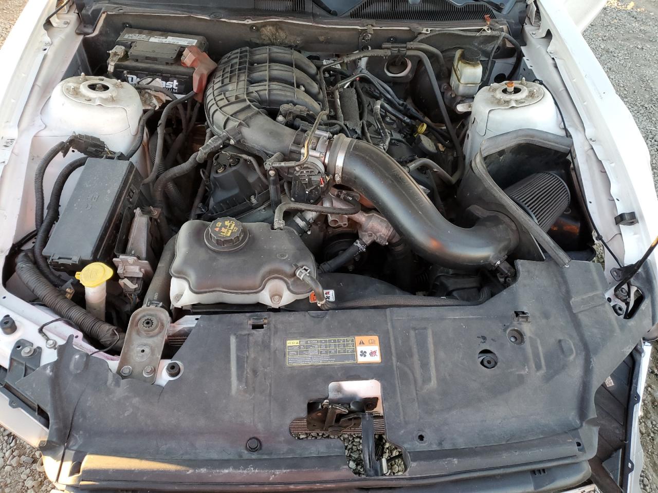 2013 Ford Mustang VIN: 1ZVBP8AM1D5269599 Lot: 82421234