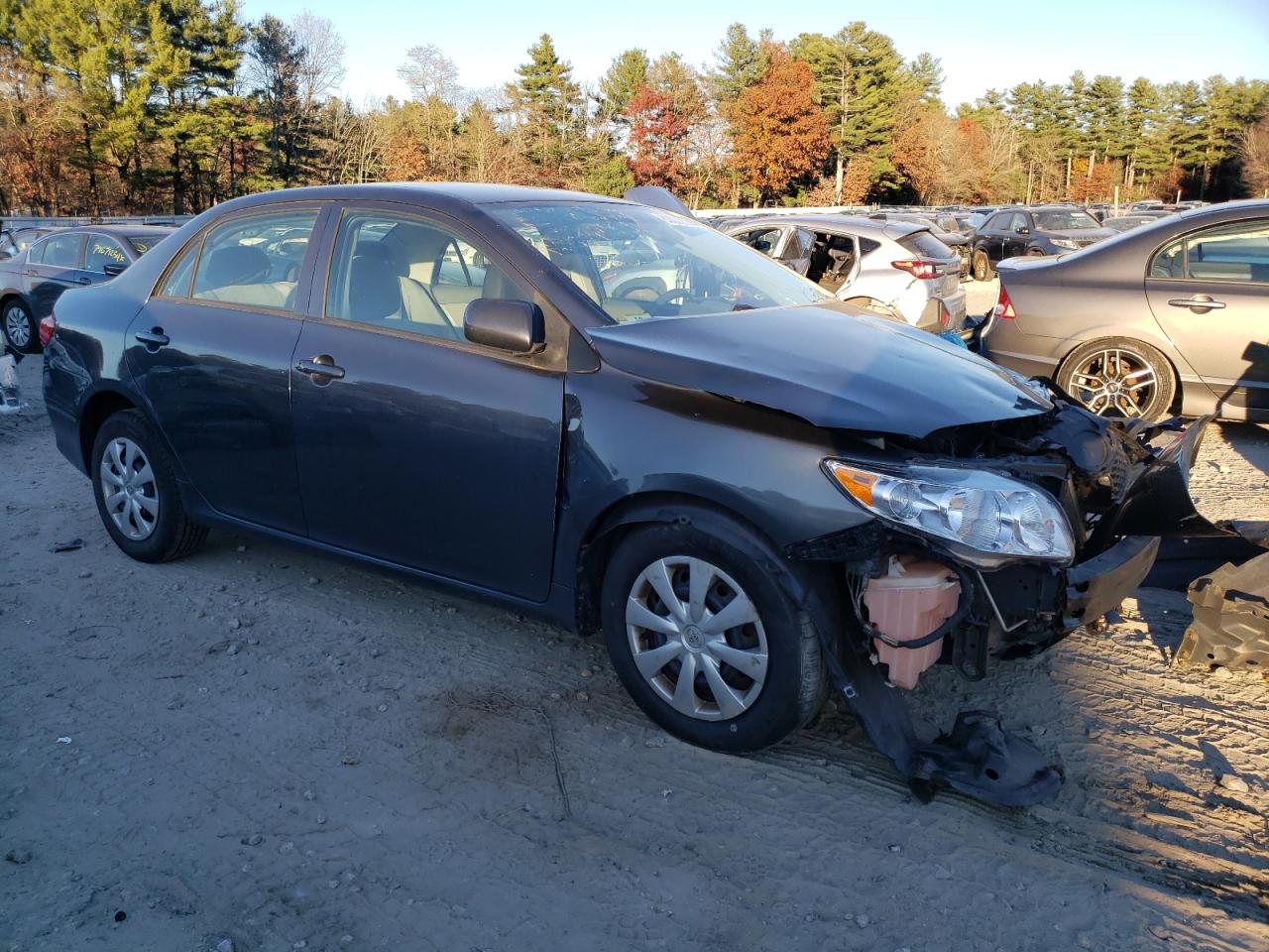 2009 Toyota Corolla Base VIN: 2T1BU40E69C189403 Lot: 80022534