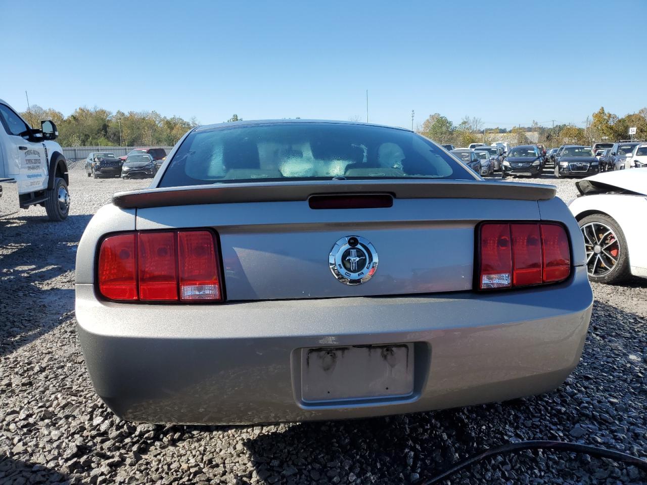 2008 Ford Mustang VIN: 1ZVHT80N285149543 Lot: 80766474