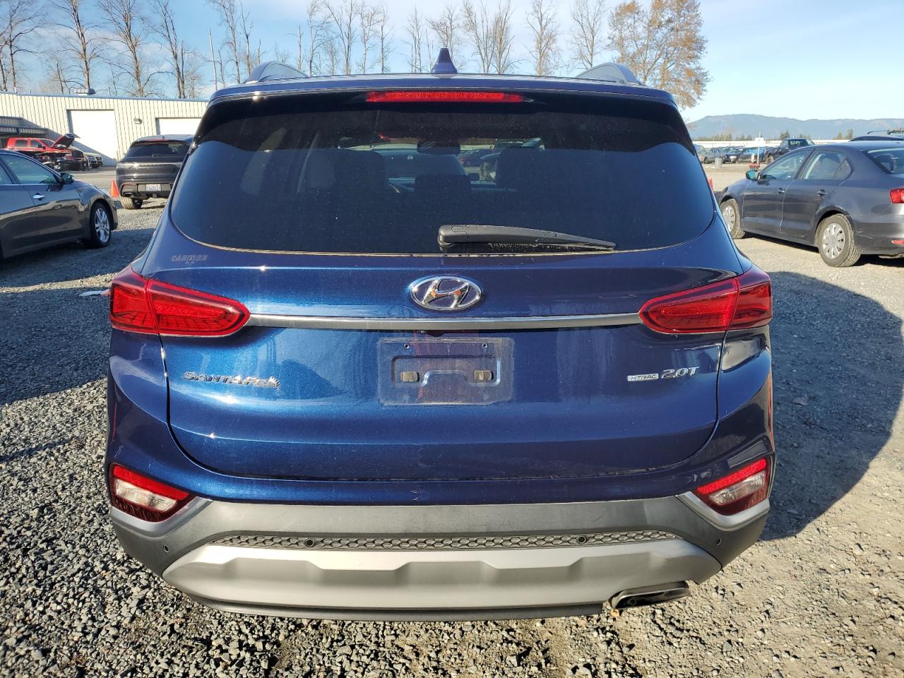 2020 Hyundai Santa Fe Sel VIN: 5NMS3CAA6LH286983 Lot: 79209844