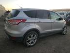 2013 Ford Escape Sel for Sale in Albuquerque, NM - Front End