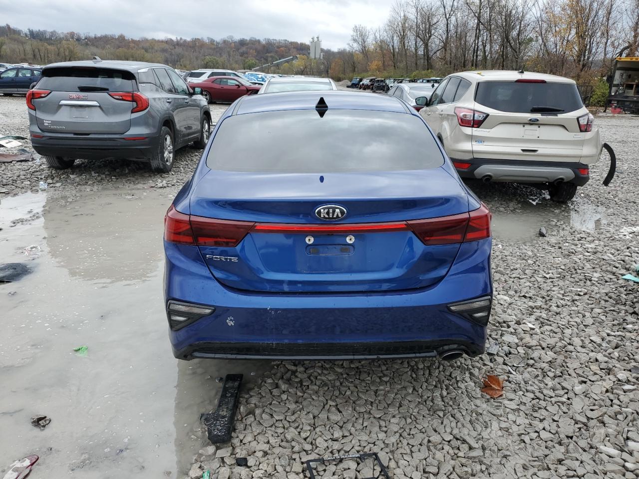 2019 Kia Forte Fe VIN: 3KPF24AD4KE072942 Lot: 80950474