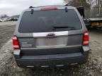 2009 Ford Escape Limited en Venta en Cicero, IN - Front End