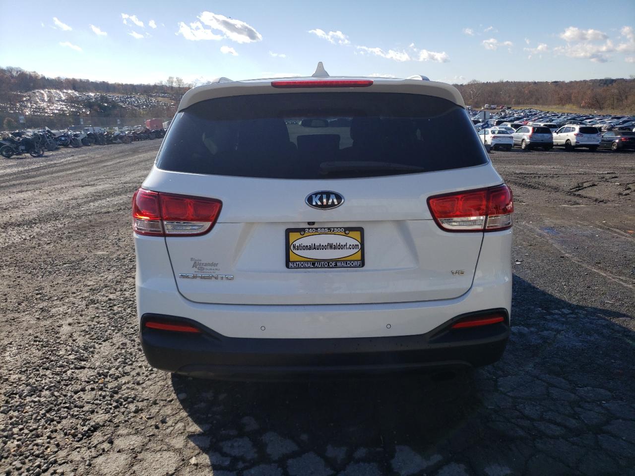 2016 Kia Sorento Lx VIN: 5XYPGDA55GG091461 Lot: 79855254