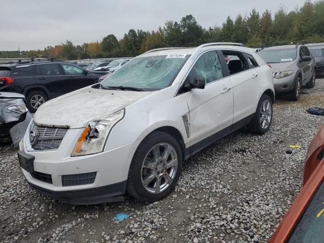 2010 Cadillac Srx Luxury Collection