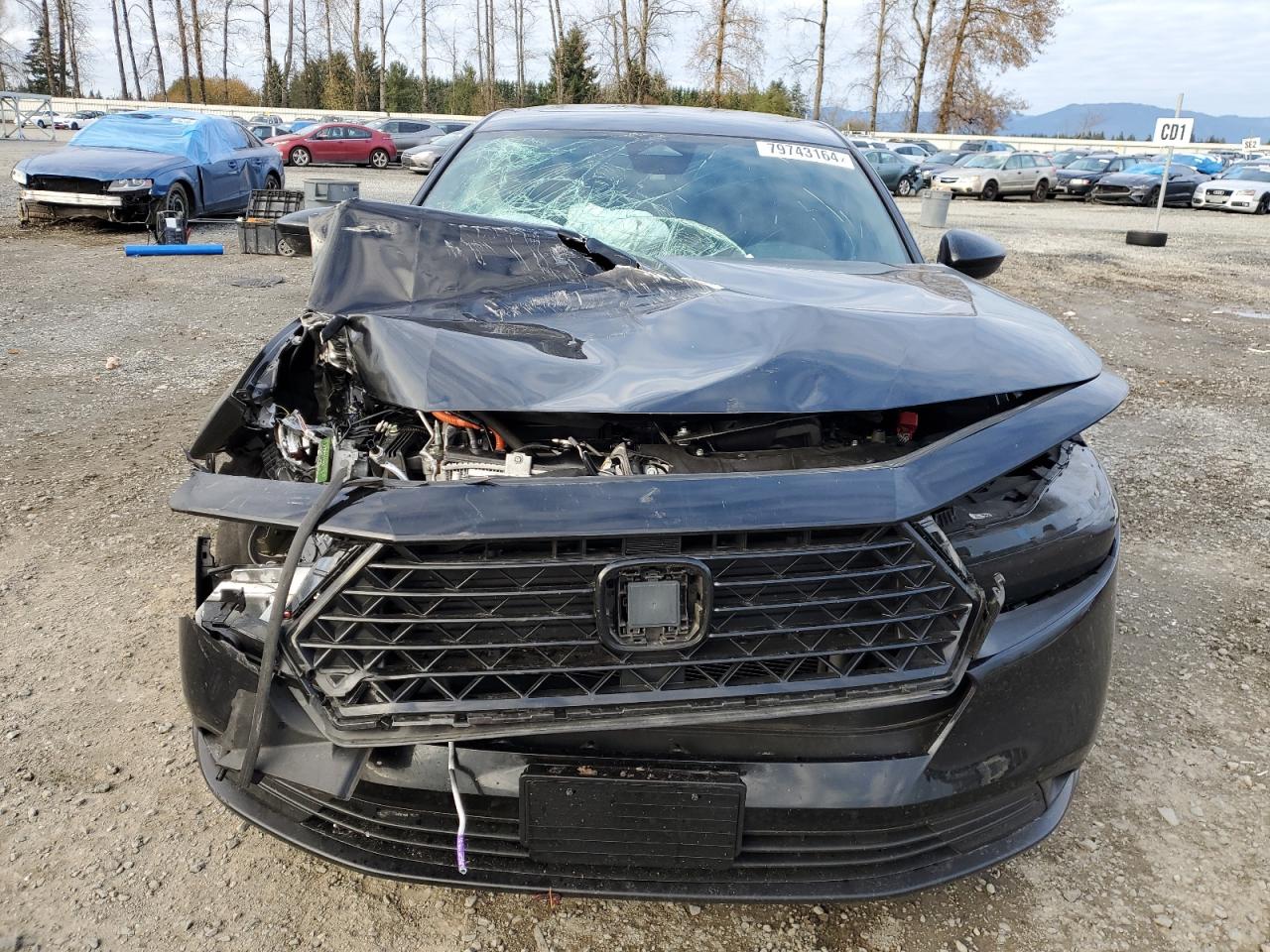 2024 Honda Accord - Image 5