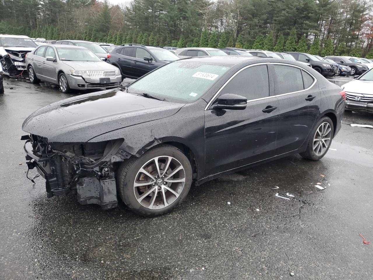 VIN 19UUB1F50FA022430 2015 ACURA TLX no.1