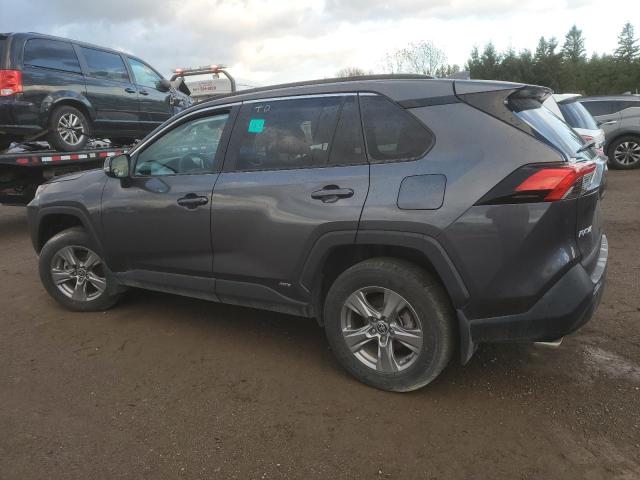  TOYOTA RAV4 2023 Szary