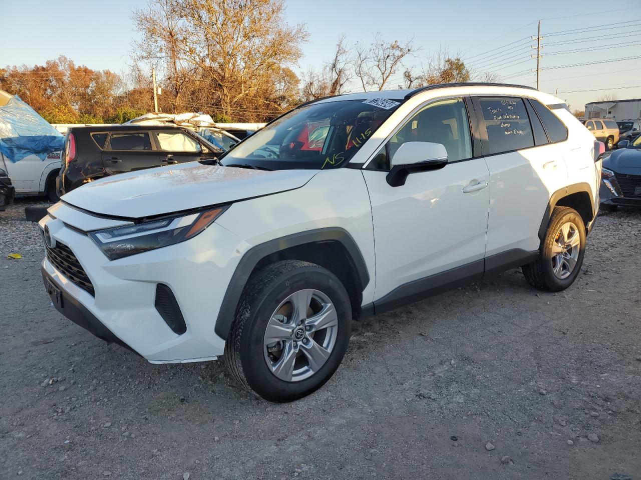 2023 Toyota Rav4 Xle VIN: 2T3W1RFV8PW249442 Lot: 81284584