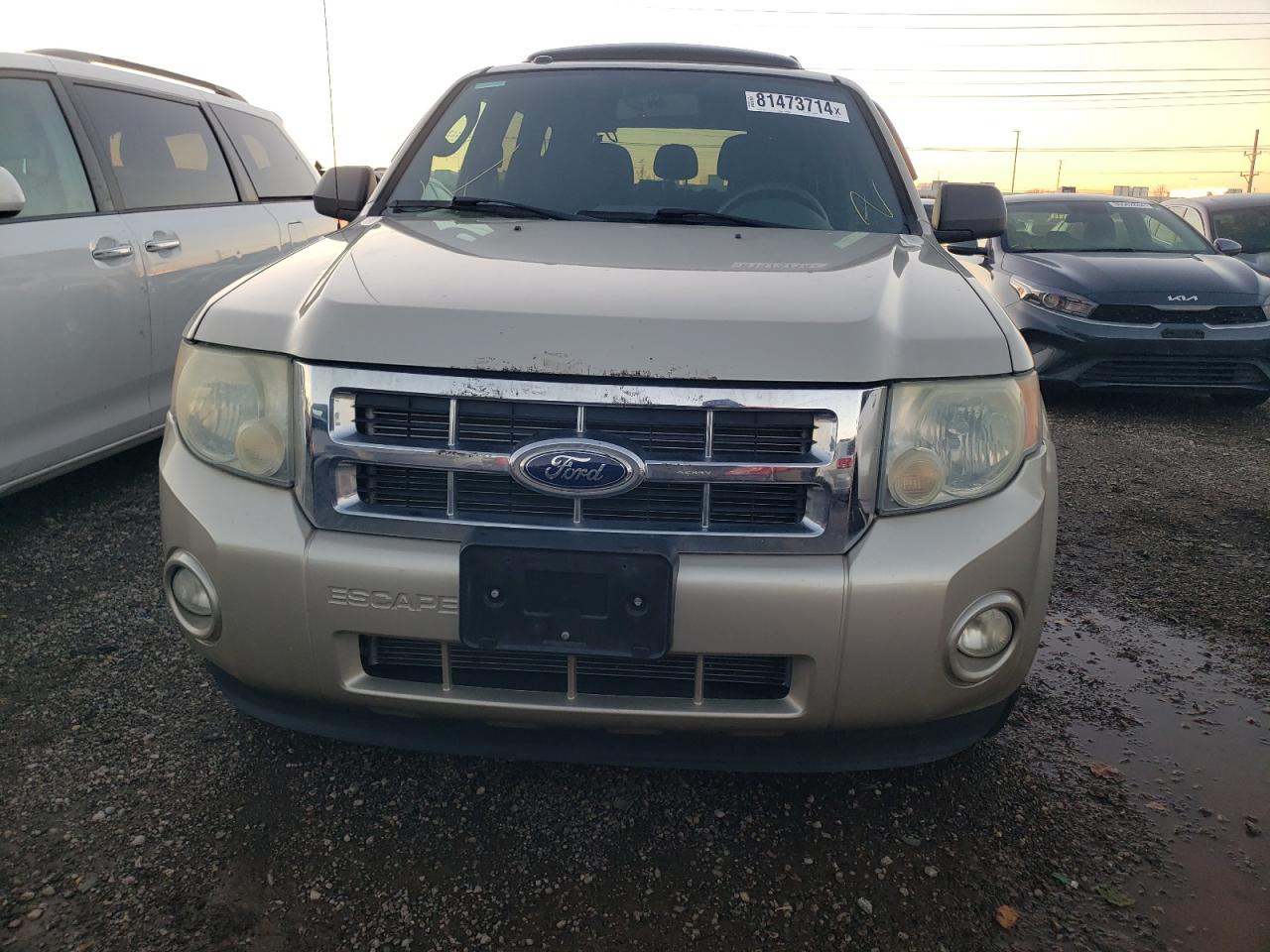 2010 Ford Escape Xlt VIN: 1FMCU9DGXAKB79372 Lot: 81473714