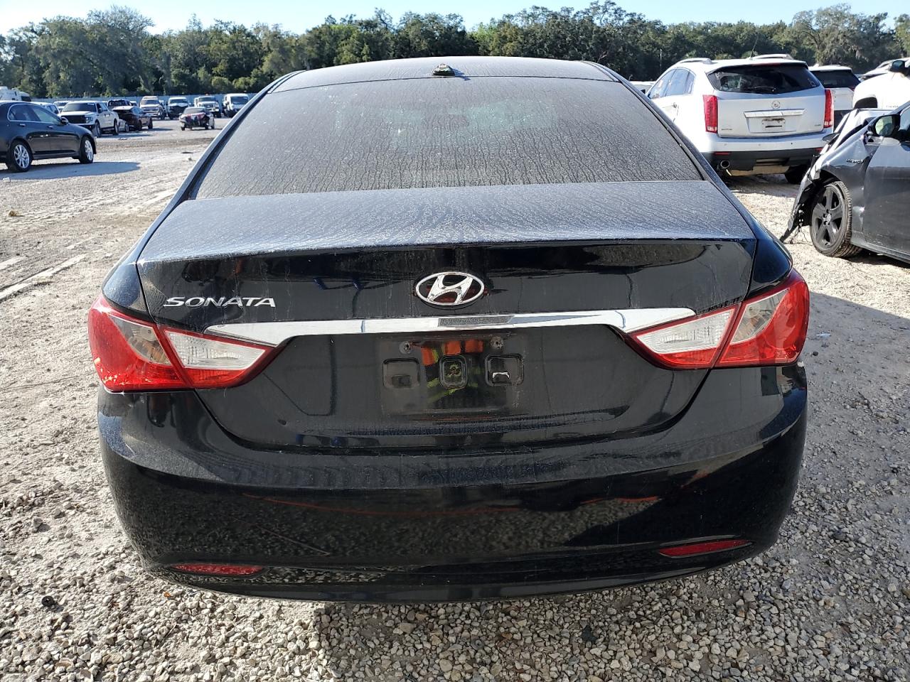 2013 Hyundai Sonata Gls VIN: 5NPEB4AC2DH652384 Lot: 81731004