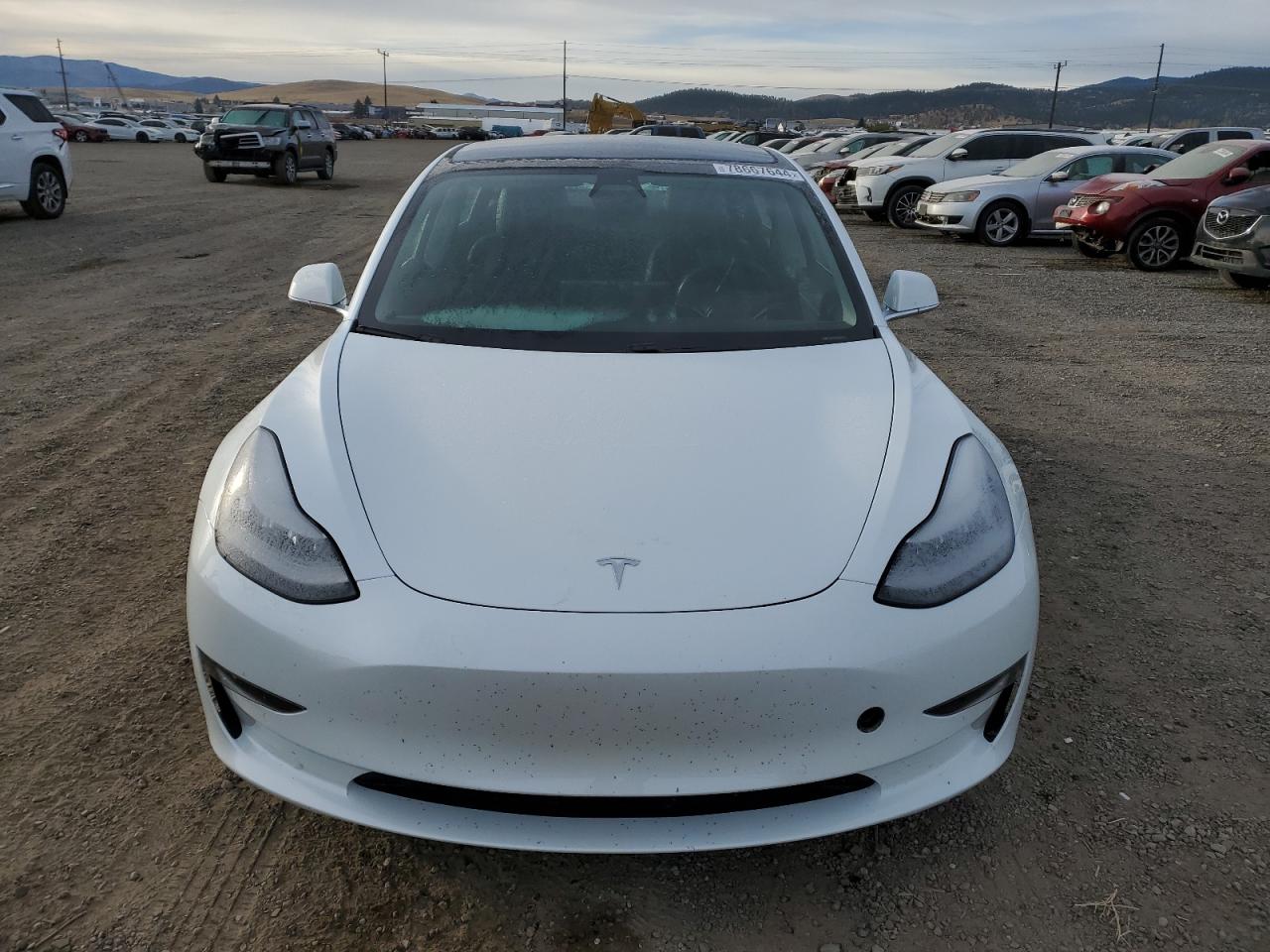 VIN 5YJ3E1EB5LF617818 2020 TESLA MODEL 3 no.5