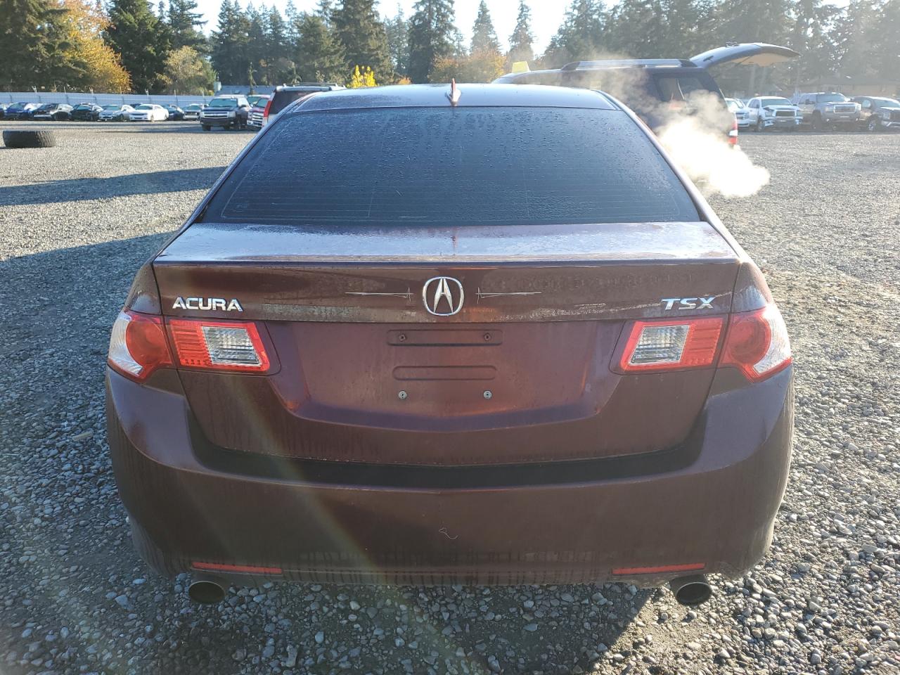 2010 Acura Tsx VIN: JH4CU2F68AC032377 Lot: 79767724