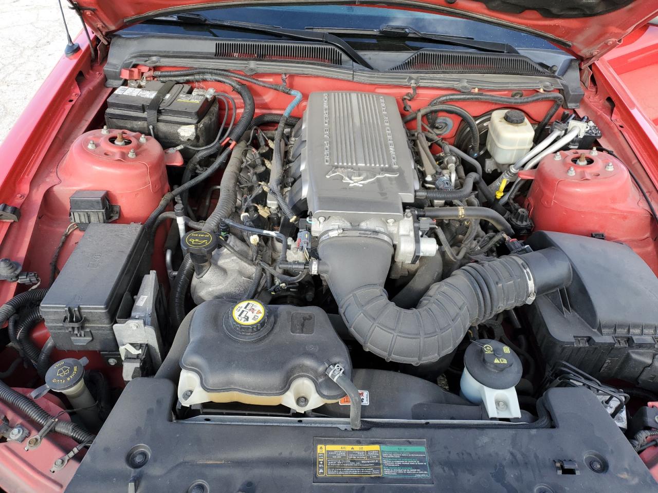 2008 Ford Mustang Gt VIN: 1ZVHT85H685166395 Lot: 82373974