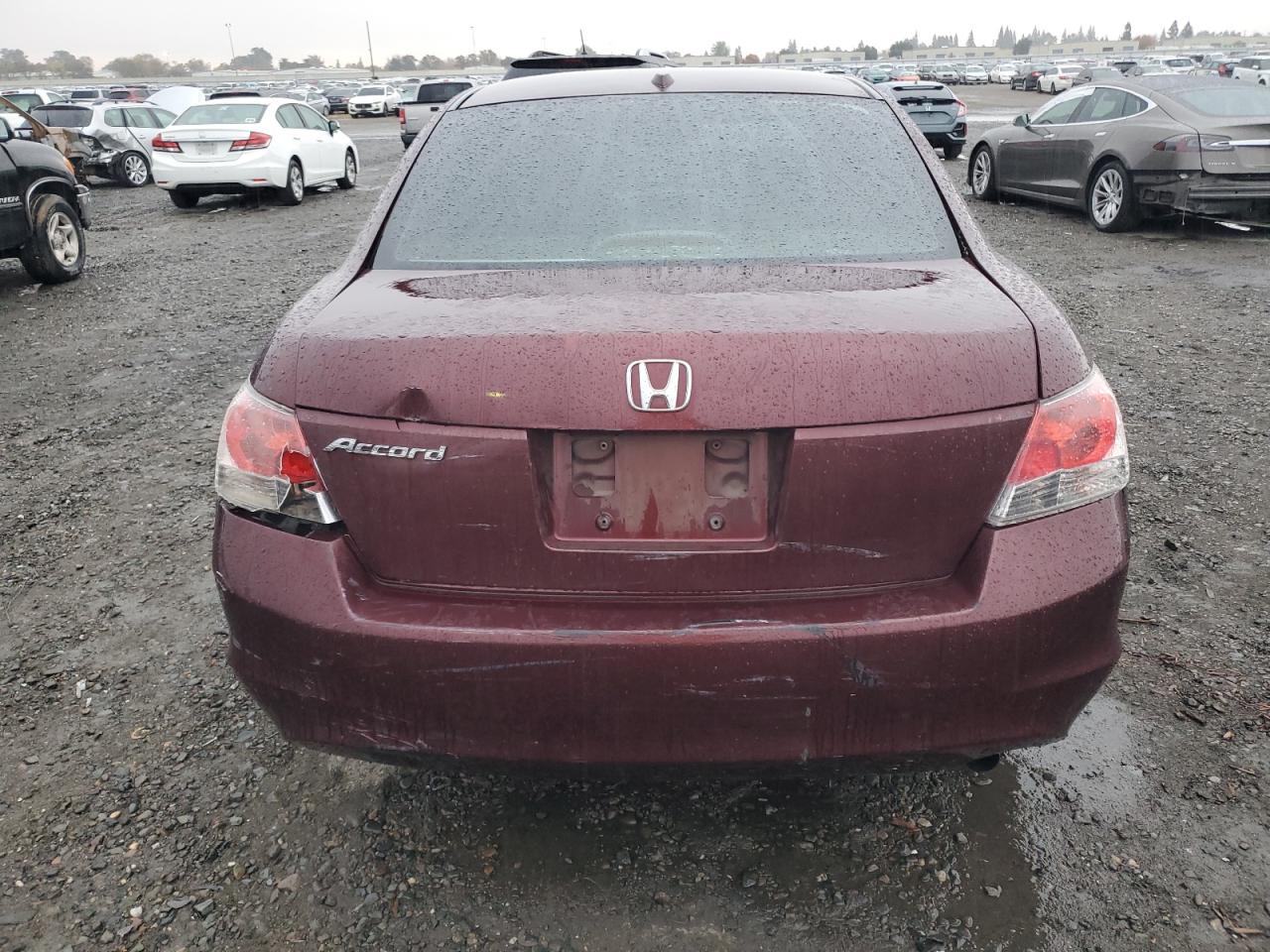 2009 Honda Accord Exl VIN: 1HGCP26869A038178 Lot: 81749604