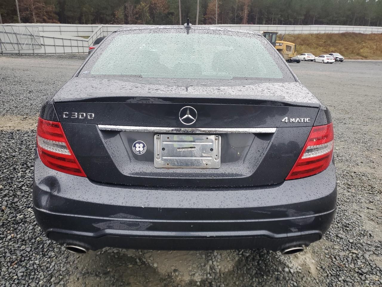 2013 Mercedes-Benz C 300 4Matic VIN: WDDGF8AB7DR299523 Lot: 80880464