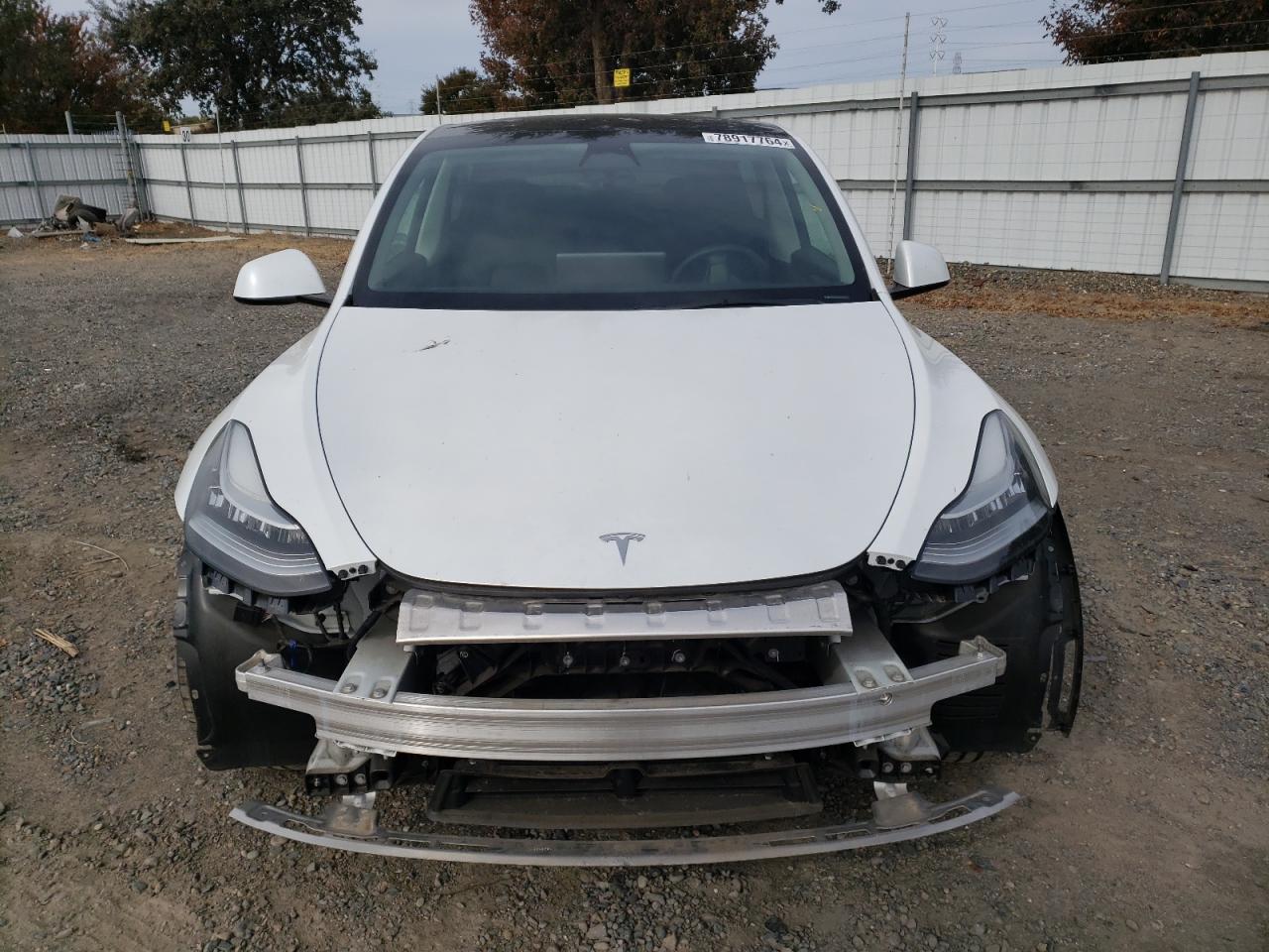 VIN 7SAYGDEE6PA122447 2023 TESLA MODEL Y no.5