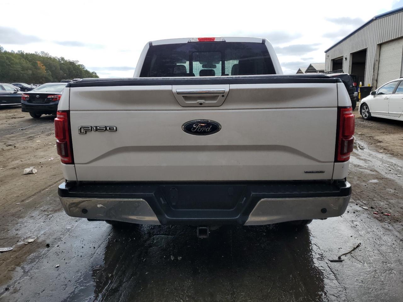 2015 Ford F150 Supercrew VIN: 1FTEW1EF8FKE26135 Lot: 79607644