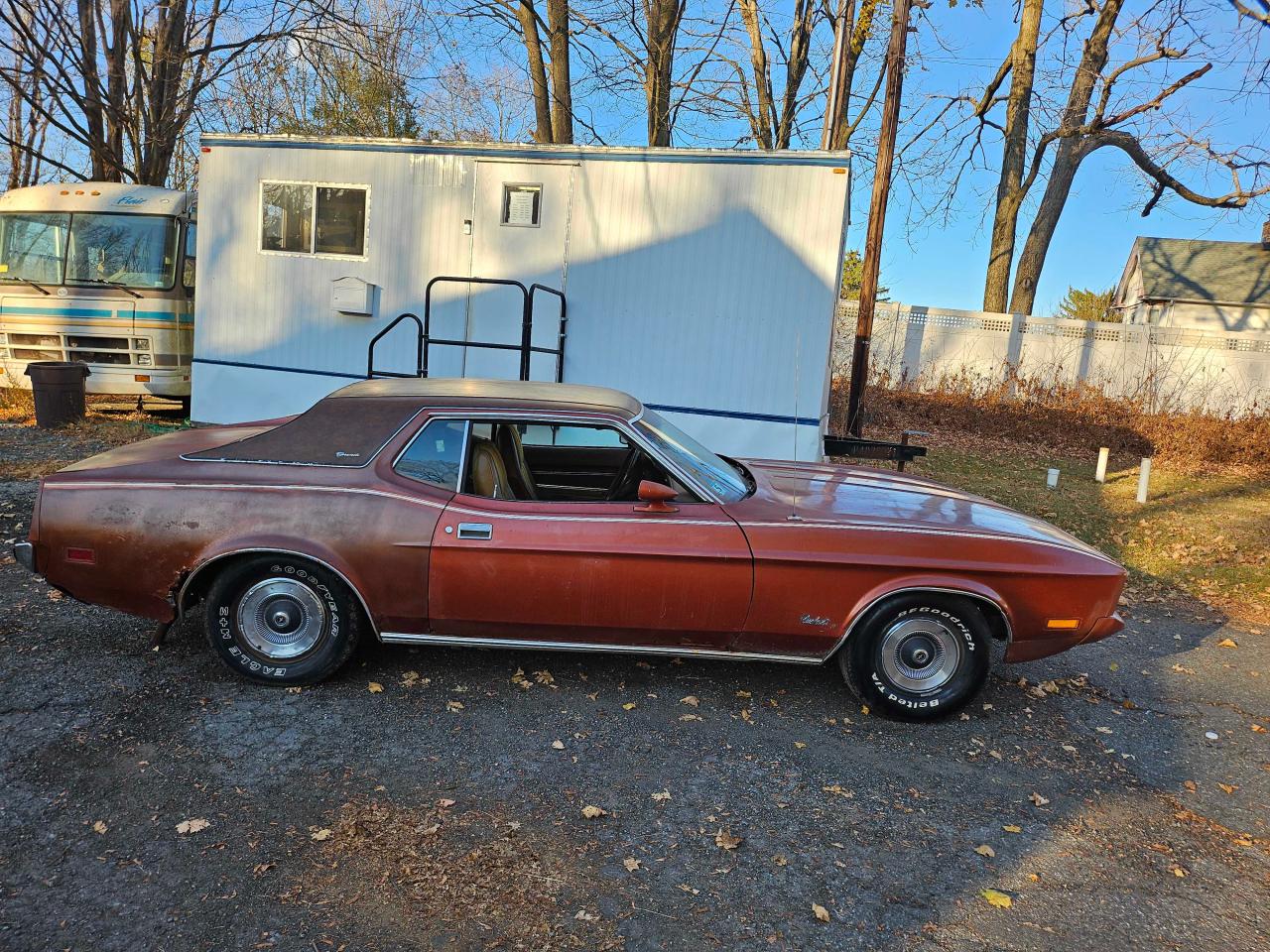 1973 Ford Mustang VIN: 3F04H196065 Lot: 81649804