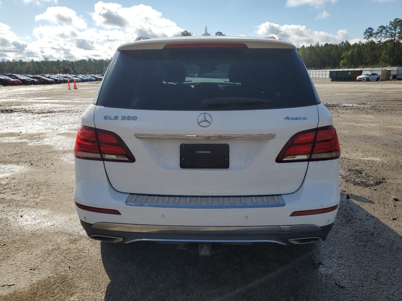 2017 Mercedes-Benz Gle 350 4Matic VIN: 4JGDA5HB8HA862448 Lot: 80118644