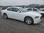 2012 Dodge Charger Po 5.7L იყიდება Earlington-ში, KY - All Over