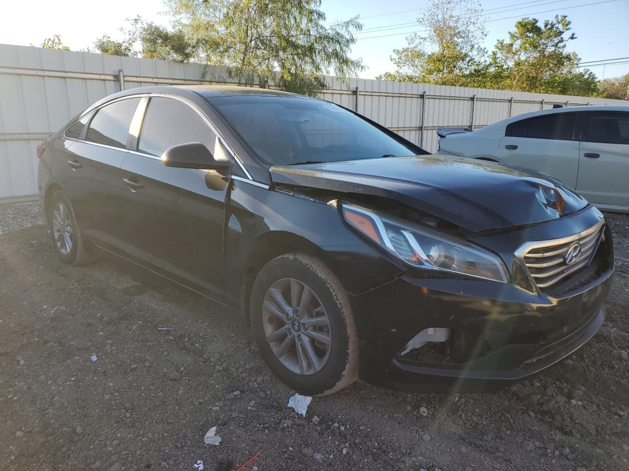 VIN 5NPE24AF6GH310483 2016 HYUNDAI SONATA no.4