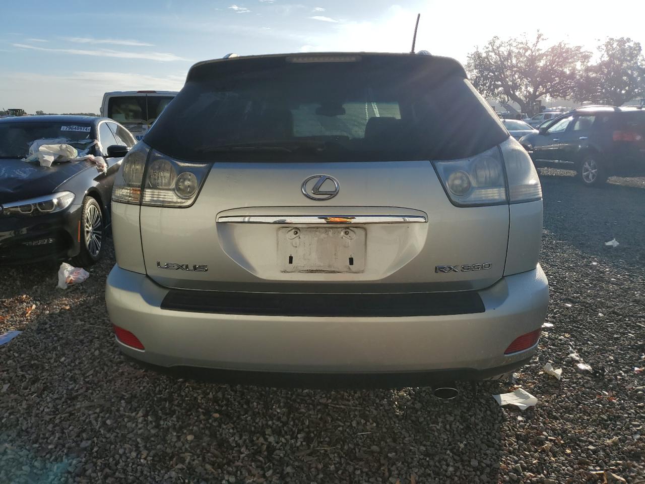 2004 Lexus Rx 330 VIN: 2T2GA31U44C013694 Lot: 80129454