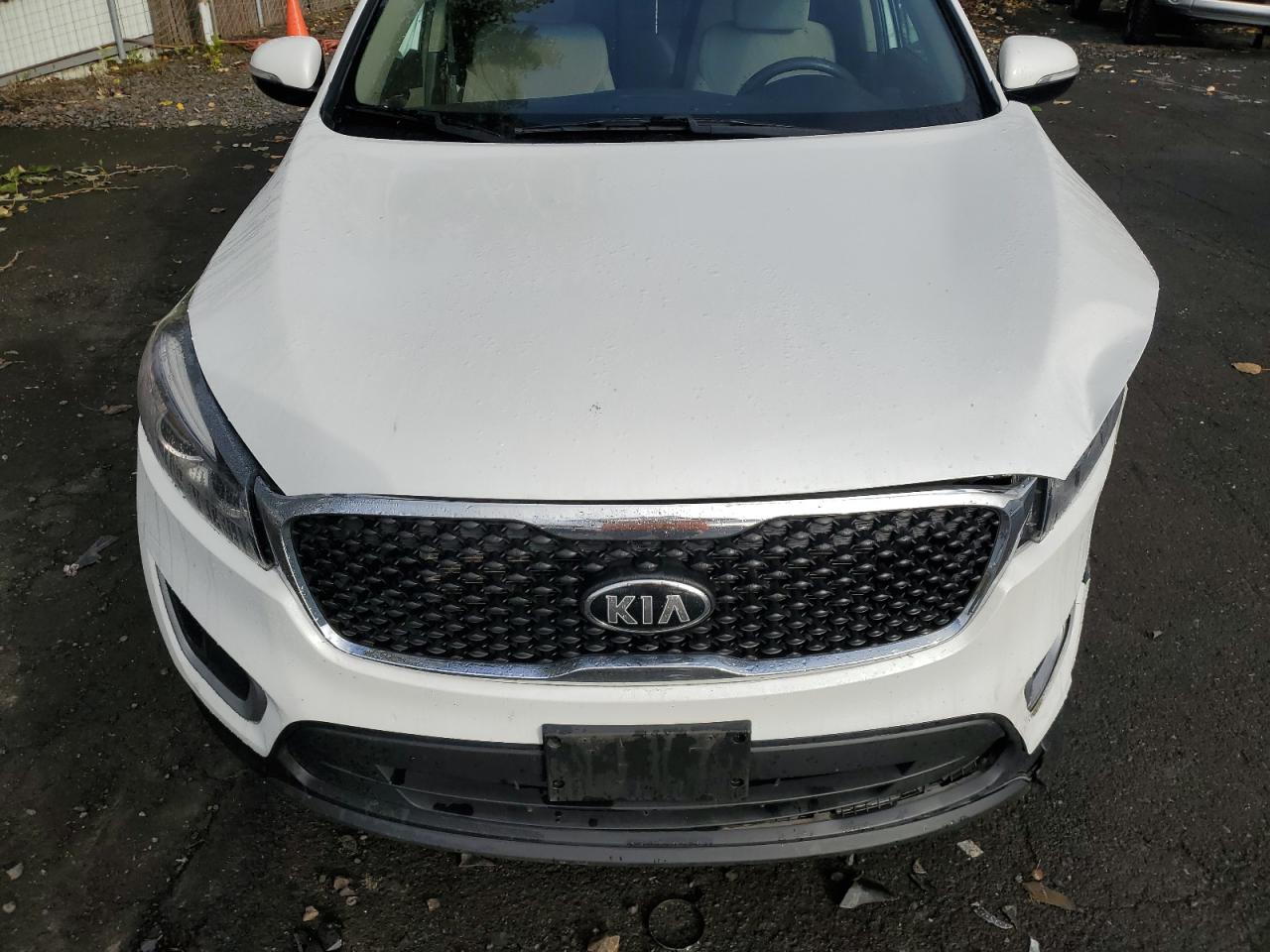 2017 Kia Sorento Lx VIN: 5XYPGDA53HG309866 Lot: 79344674