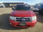 2010 Ford Escape Xlt იყიდება Brighton-ში, CO - Rear End