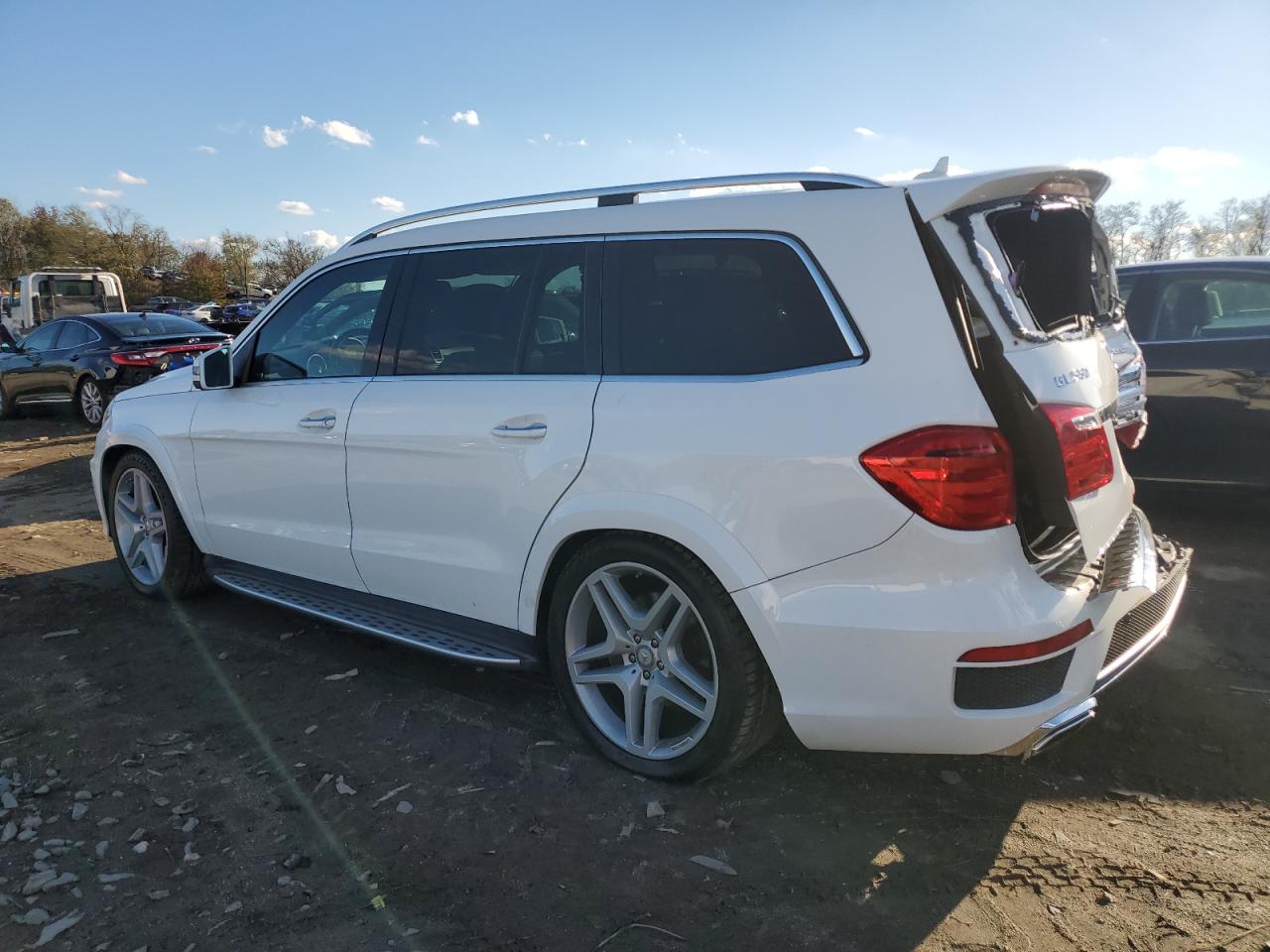 VIN 4JGDF7DE1EA382194 2014 MERCEDES-BENZ GL-CLASS no.2