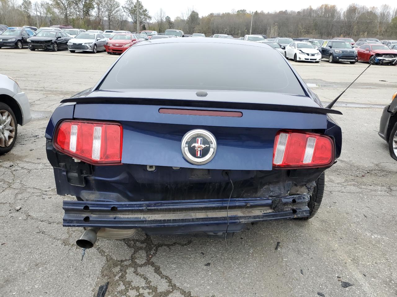 2011 Ford Mustang VIN: 1ZVBP8AM9B5151684 Lot: 79455014