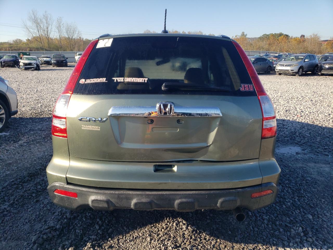 2007 Honda Cr-V Exl VIN: JHLRE38787C022254 Lot: 81700564