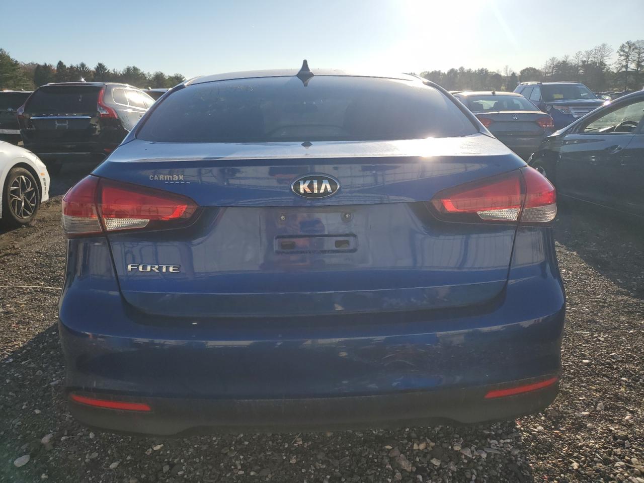 2017 Kia Forte Lx VIN: 3KPFK4A72HE131201 Lot: 79419554