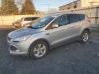 2016 Ford Escape Se იყიდება Albany-ში, NY - Front End