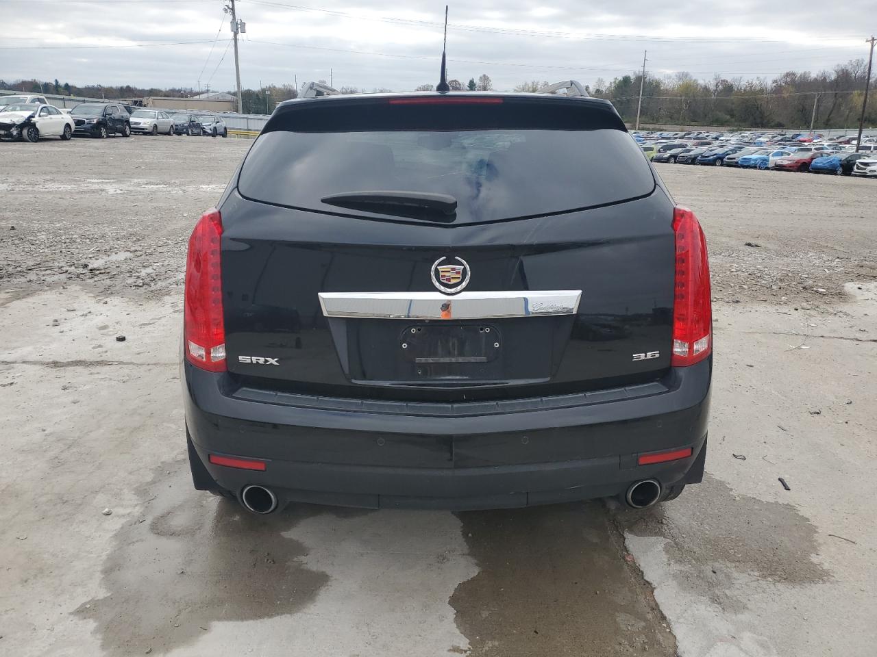 2013 Cadillac Srx Performance Collection VIN: 3GYFNDE37DS637708 Lot: 81155934