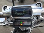 2024 HARLEY-DAVIDSON FXST  for sale at Copart NY - LONG ISLAND