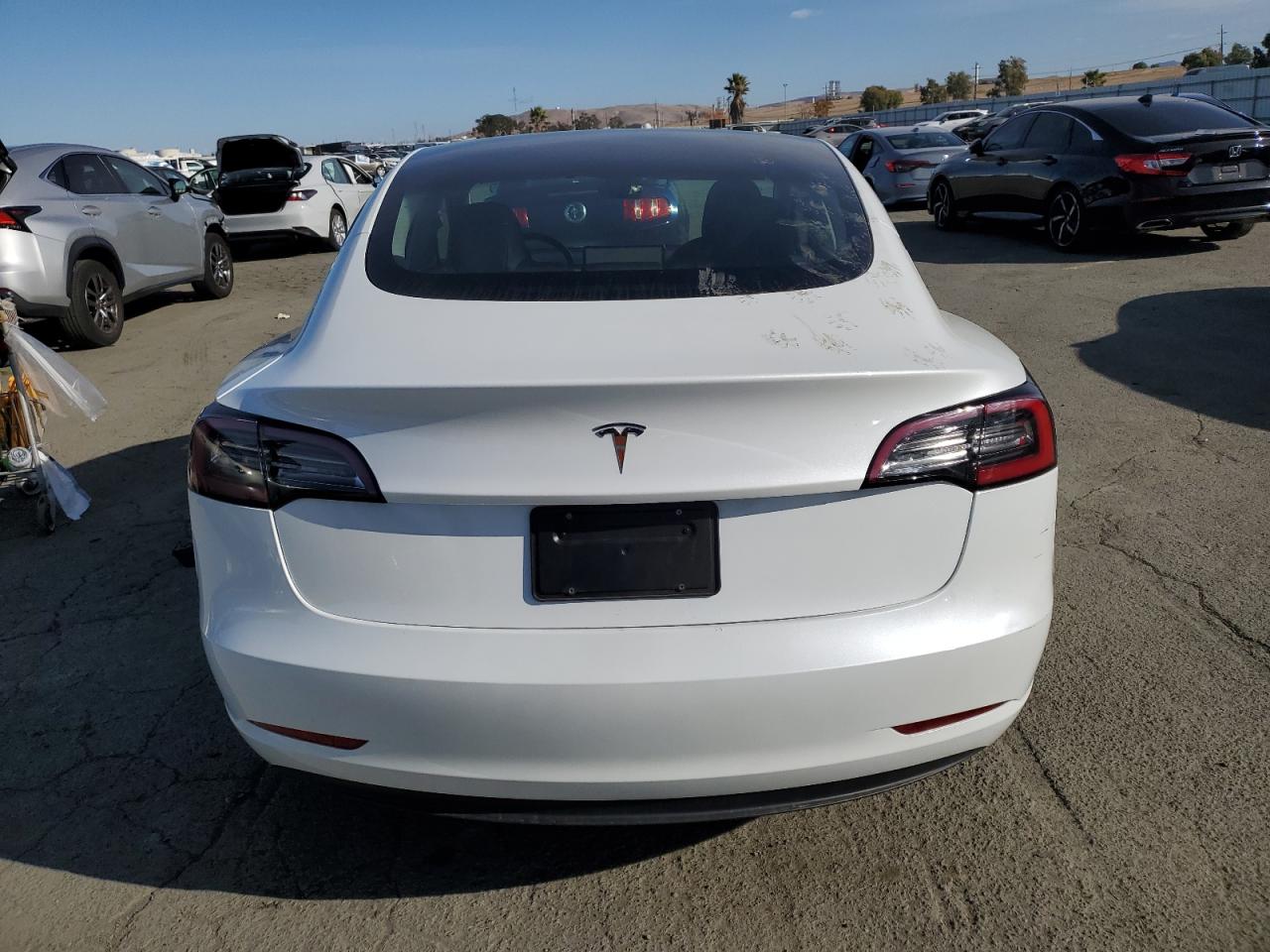 2023 Tesla Model 3 VIN: 5YJ3E1EA6PF452973 Lot: 81329694