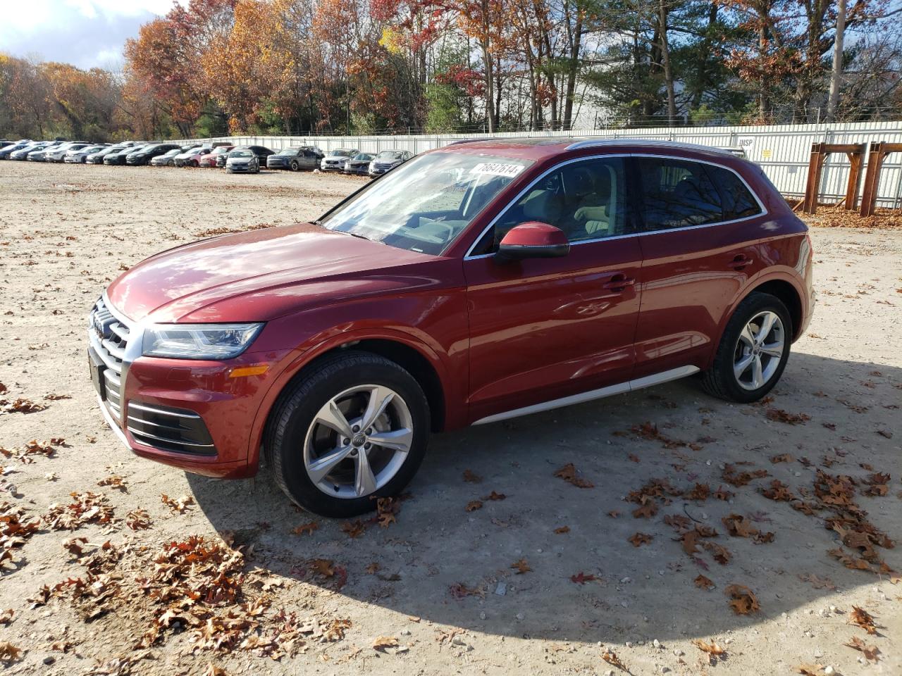 2020 Audi Q5 - Image 1