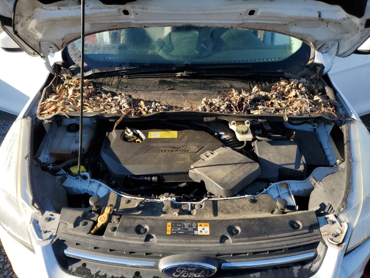 2013 Ford Escape - Image 12