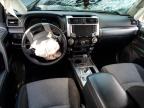 2021 Toyota 4Runner Sr5 იყიდება Grenada-ში, MS - All Over