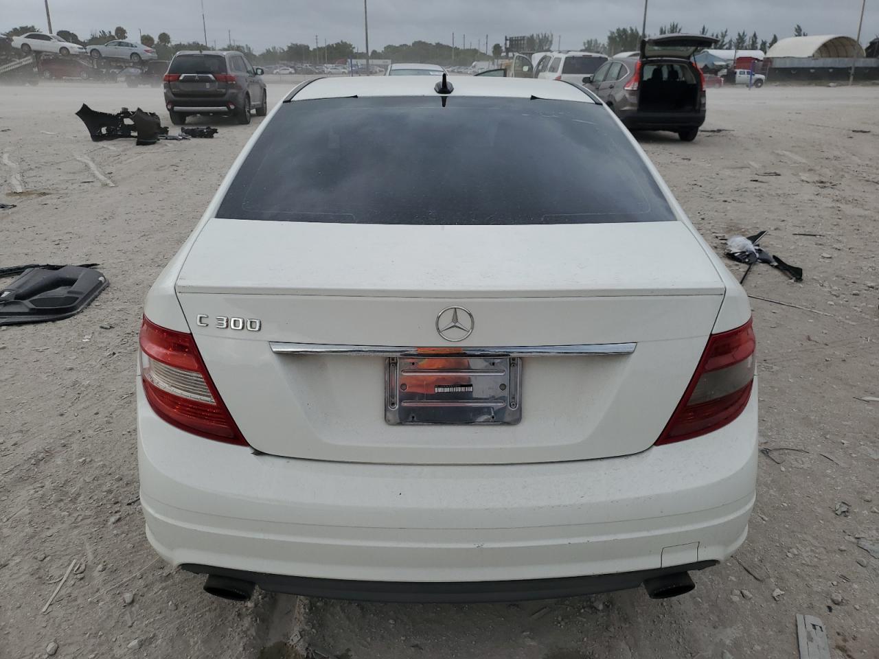 2010 Mercedes-Benz C 300 VIN: WDDGF5EB6AR098099 Lot: 78654204