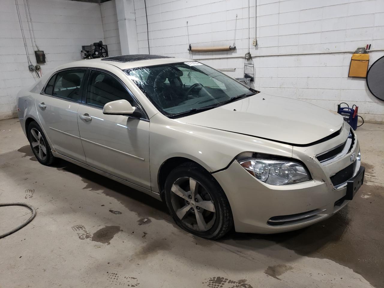 2011 Chevrolet Malibu 1Lt VIN: 1G1ZC5E19BF255039 Lot: 81151934